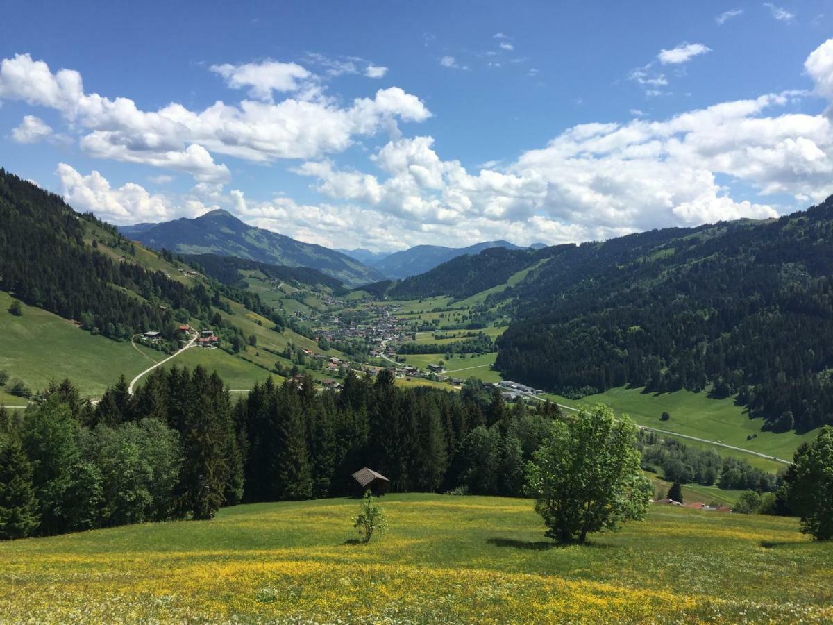 Sonnenalp Bergruhe Lägenhet Niederau Exteriör bild